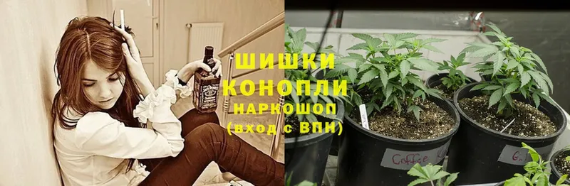 МЕГА маркетплейс  купить закладку  Ногинск  Конопля THC 21% 